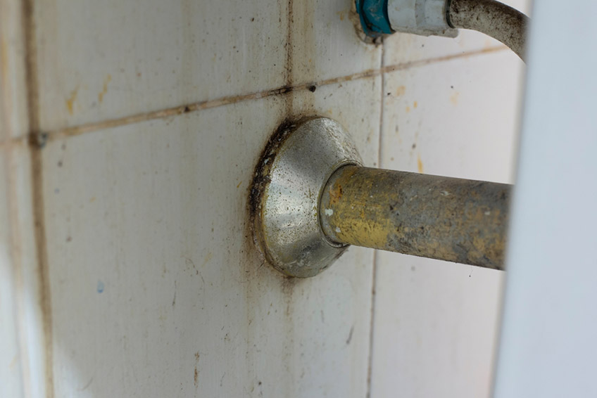 mold near pipes mold near pipes