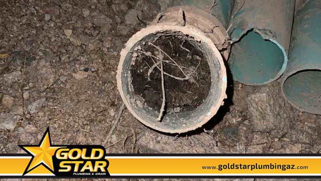 Broken Sewer Line