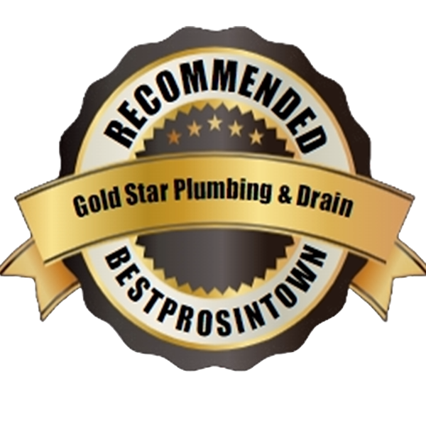 https://goldstar-stg.realtimemarketing.com/wp-content/uploads/2023/12/best-pros-in-town-logo.png