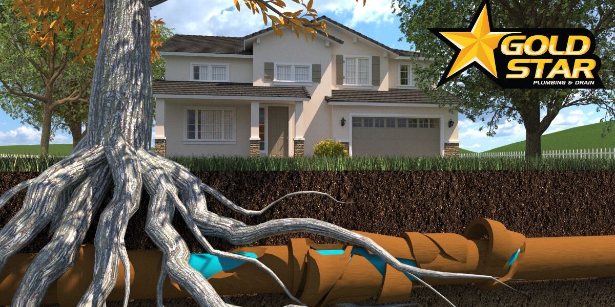 Broken Pipe 3D