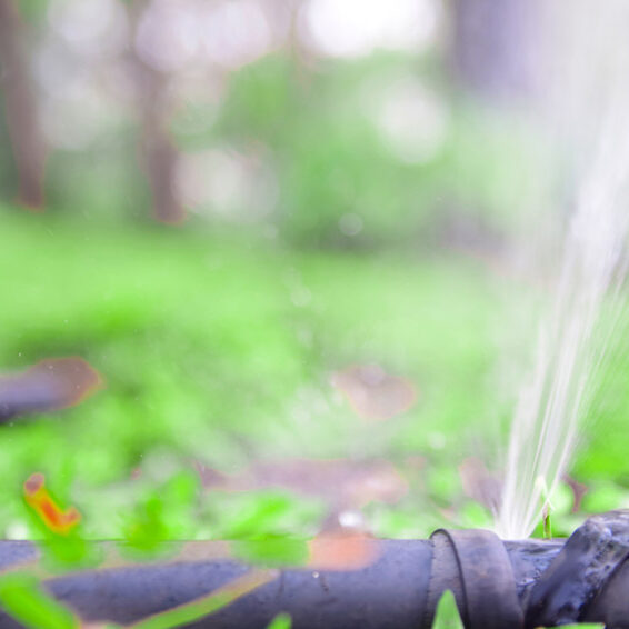 water leaking from pipe line