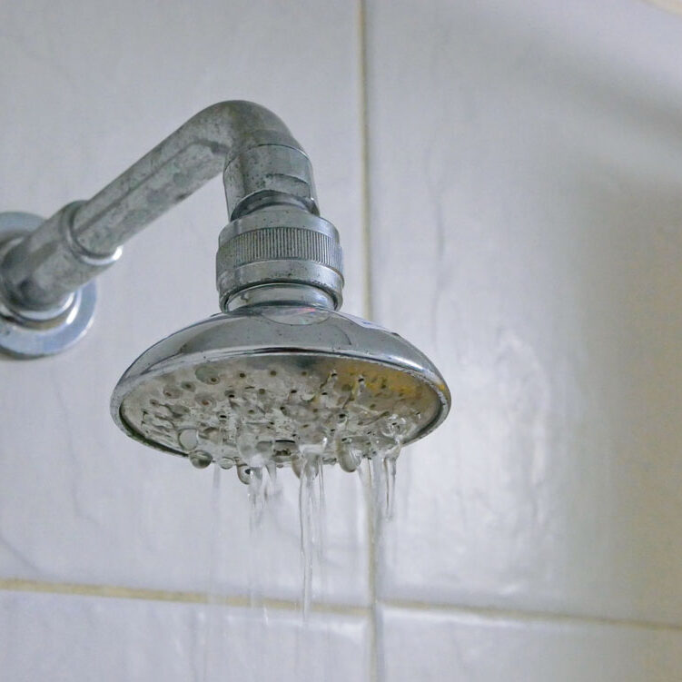 low-flow showerhead